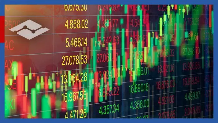 Introduction to Margin